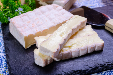 French cheeses collection, yellow Vieux Pane cheese with white mold