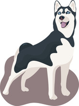 Vector Black And White Dog Siberian Husky Standing And Smiling, Tongue Hanging Out. Cute Cartoon Pet. Domestic Animal