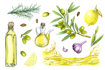 Set of olive oil, watercolor hand drawn, isolated elements provence italy greece food kitchen cooking for restaurant menu, product packaging, textiles, towel.