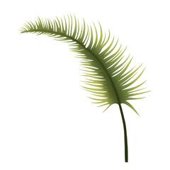 Sticker - fern leaf isolated png