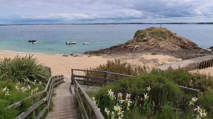 Wall Mural - Escalier descendant vers la plage et la mer, sur l'île de Cézembre, au large de Saint-Malo et de Dinard en Bretagne, avec des fleurs blanches au printemps (France)