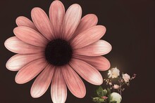 A Large Flower With A Black Background And A Brown Center And A Pink Center And A White Center And A Black Background With A Brown Center And White Center And Pink Center And Beige. Generative AI