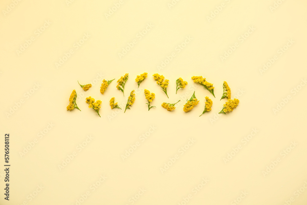 Composition with beautiful mimosa flowers on yellow background