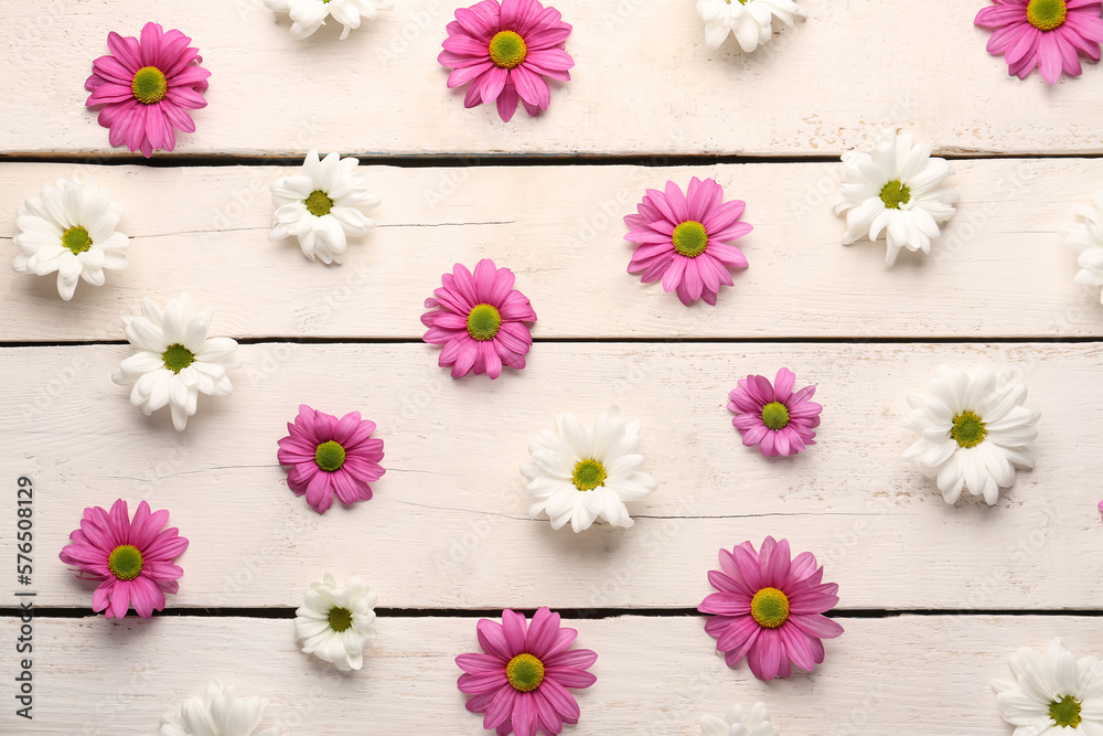 Composition with beautiful chrysanthemum flowers on light wooden background