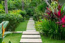 Well-kept Tropical Garden With A Path After The Rain.