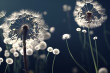 A Dandelion Blowing In The Wind With Lots Of Seeds On It's Head And Seeds Flying In The Air, With A Black Background. Generative AI