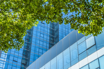 modern office building with green leaves.