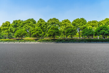 Wall Mural - Asphalt road and green trees in the blue sky.