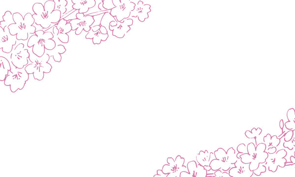 桜の線画イラスト。春の桜ベクター背景イラスト。満開の桜の線画。line drawing illustration of cherry blossoms. spring cherry blossom v