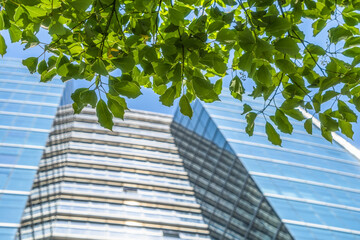 modern office building with green leaves.