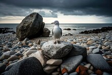 A Seagull Perches On A Stone Cliff Overlooking The Water In This View Of A Danish Beach. Generative AI