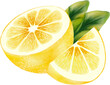 lemon with leaves watercolor hand-drawing PNG