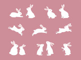 Fototapeta Fototapety na ścianę do pokoju dziecięcego - Cute white rabbits in various poses. Rabbit animal icon isolated on background.