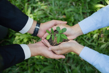 Wall Mural - Environmental cooperation. Green business eco company partners holding plants together for Ecology collaboration development ecosystem organization in greenery company partnership concept.CSR and ESG