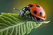 Ladybird or ladybug insect on green leaf in garden. Close up macro view. Generative Ai