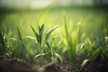 Springtime Corn Field With Fresh, Green Sprouts In Soft Focus. In A Farmed Farm Area, Young, Green Corn Seedling Sprouts Are Growing. Agricultural Landscape With Soil Based Corn Sprouts. Generative AI