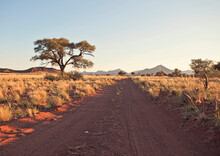 The Early Morning Sun Hits The Grasslands Bordering The Namib Desert Of Western Namibia.