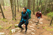 © Cavan Images - Couple hiking through forest on Beach Mountain in Acadia National Park, Maine, USA