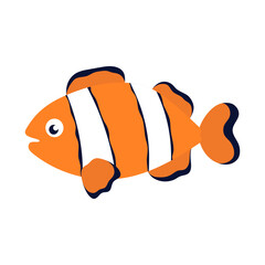 Wall Mural - vector illustration of clownfish isolated on white