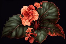 Begonia Flower Botanical Illustration, Pot Flowers Realistic Painting, Abstract Generative AI Illustration