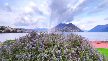 Poster - Rosemary in blossom and Water Jet of Paradiso fountain, Lugano, Switzerland