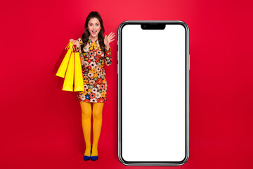 Poster - Photo of impressed funky woman wear flower print dress holding shoppers modern gadget empty space isolated red color background