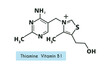 Vitamin B1 chemical molecular structure. Vector illustration