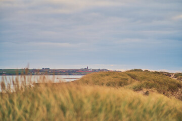 Wall Mural - View from Vejlby Klit to Ferring at danish westcoast. High quality photo