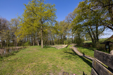 Wall Mural - landscape with fence and trees