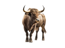 Bull Isolated On White, Transparent Background, PNG, Generative Ai	
