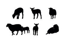 Collection Of Black Silhouettes Sheeps