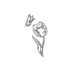 Poster - butterfly, tulip sketch vector illustration on a transparent background