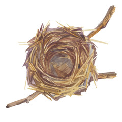 Wall Mural - Empty bird nest from twigs on tree branch isolated on white background. Spring time, watercolor clipart. View from above