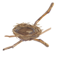 Wall Mural - Empty bird nest from twigs on tree branch isolated on white background. Spring time, watercolor clipart.