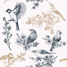 Spring Garden Background. Vintage Seamless Patter With Birds, Flowers, Leaves And Blooming Tree Branches. Hand Drawn Almond, Willow, Rowan, Willow, Cherry Blossom Floral Sketches For Prints Or Textile