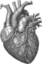 Retro Halftone Collage Elements For Mixed Media Design. Human Heart In Engraved Line Pattern, Pop Art. Vector Illustration Of Vintage Grunge Punk Crazy Art Templates.