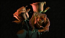  Three Orange Roses In A Vase On A Black Background With A Reflection Of The Flowers In The Vase On The Left Side Of The Picture.  Generative Ai