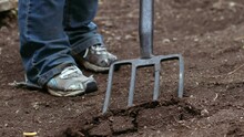 Gardener Preparing Soil With Fork For Growing Plants 