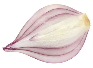 Wall Mural - Onion sliced