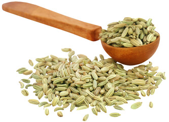 Wall Mural - Fennel seeds in a wooden spoon