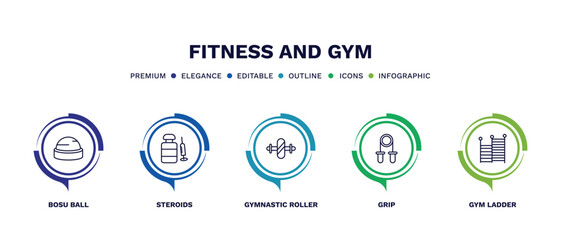 Wall Mural - set of fitness and gym thin line icons. fitness and gym outline icons with infographic template. linear icons such as bosu ball, steroids, gymnastic roller, grip, gym ladder vector.