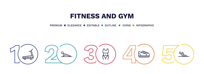 Wall Mural - set of fitness and gym thin line icons. fitness and gym outline icons with infographic template. linear icons such as running treadmill, push up, fitness body, trainers, abdominal exercises vector.