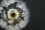 Fototapeta Dmuchawce - Macro shot of dandelion seeds on a black background - generative ai