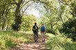 © Wavebreak Media - Rear view of diverse couple with backpacks and walking poles walking in sunny forest, copy space