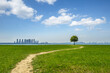 © hallojulie - The grass and the city in shanghai, China