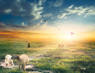 Canvas Print - Christ Jesus concept, Flock of sheep on cross and sunset background