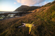 Happy tourist man lying down and having rest on ocean trail near mountains at sunset time