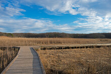 Wooden Walkway Over Marshland At Cheesequake Park In Matawan, New Jersey, On A Partly Cloudy Winter Day -06