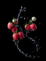 Wall Mural - fresh red tomato with water splash and air bubbles isolated on black background.
