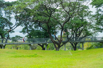 Cityscape view of Benjakitti Park with trees and skywalk, New beautiful garden in the city center.